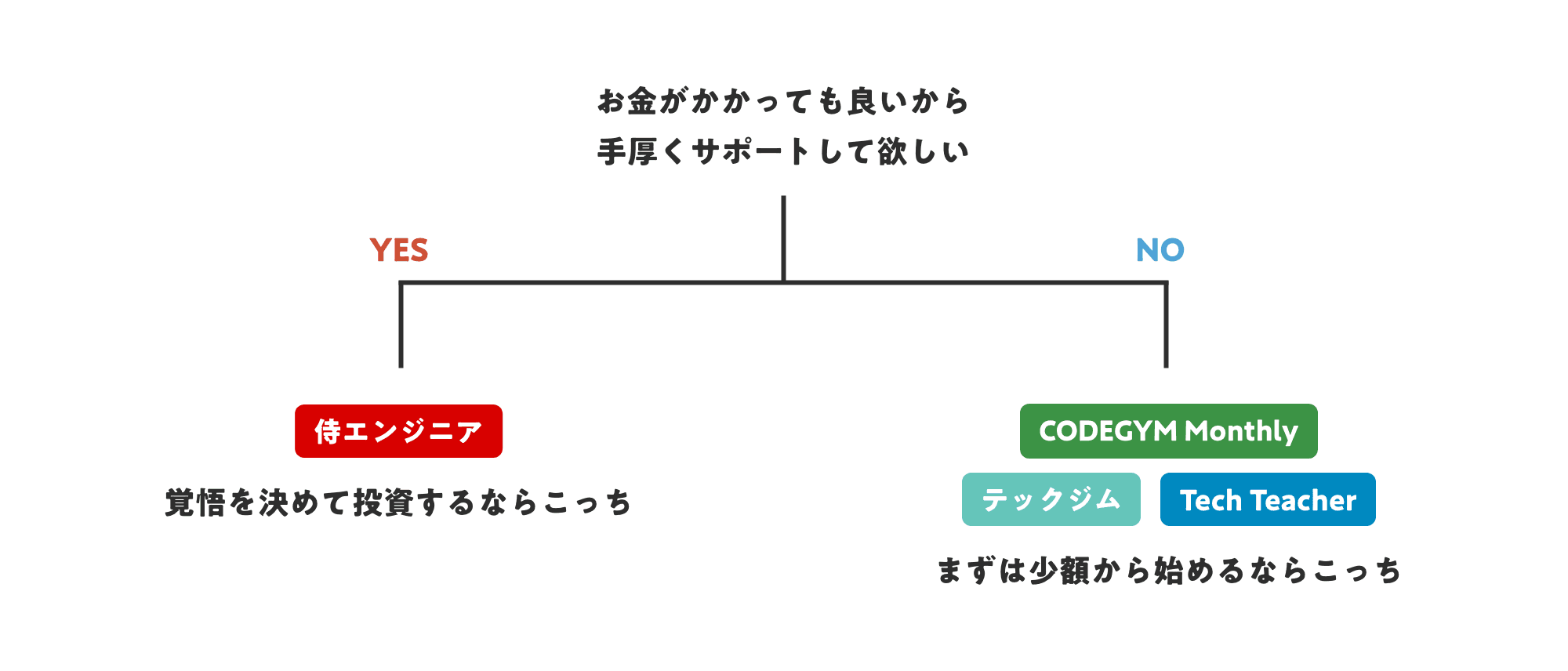 金額とサポートの手厚さで条件分け