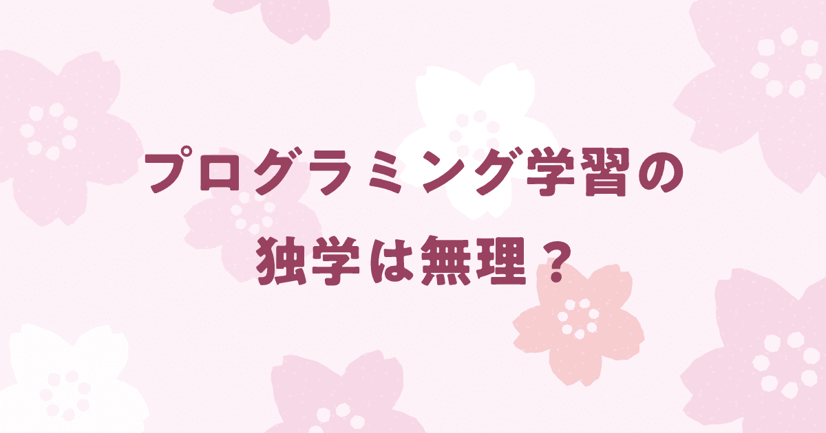 プログラミングの独学は無理ではないけど非効率な理由！